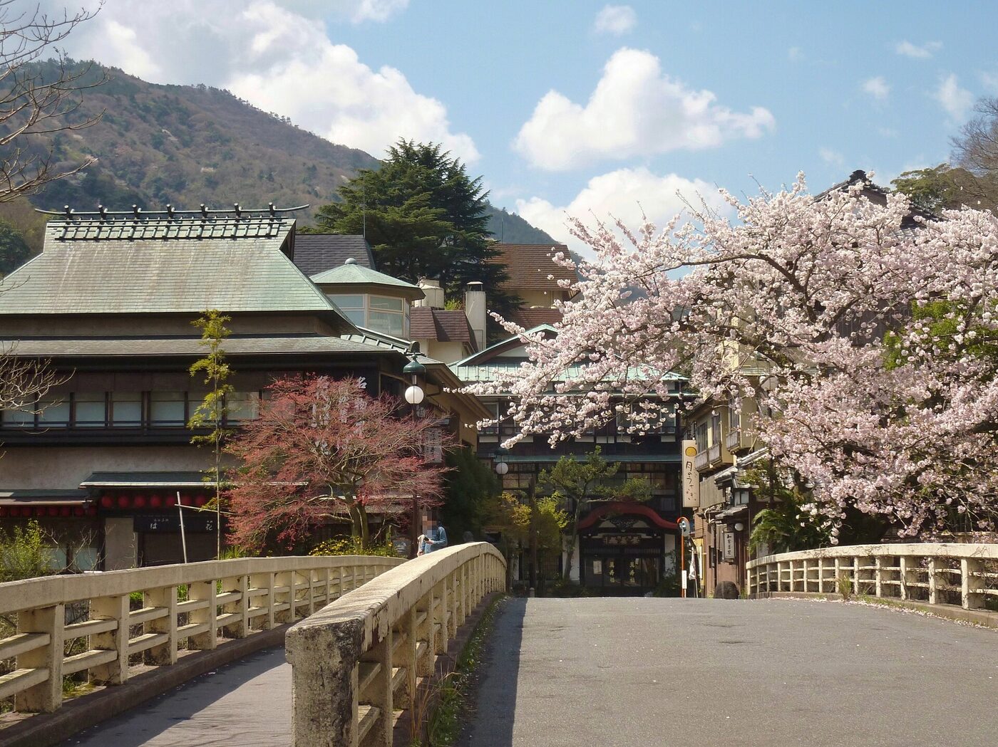 Is a Snow Monkey Park Onsen Tour from Tokyo Truly Worth the Journey?